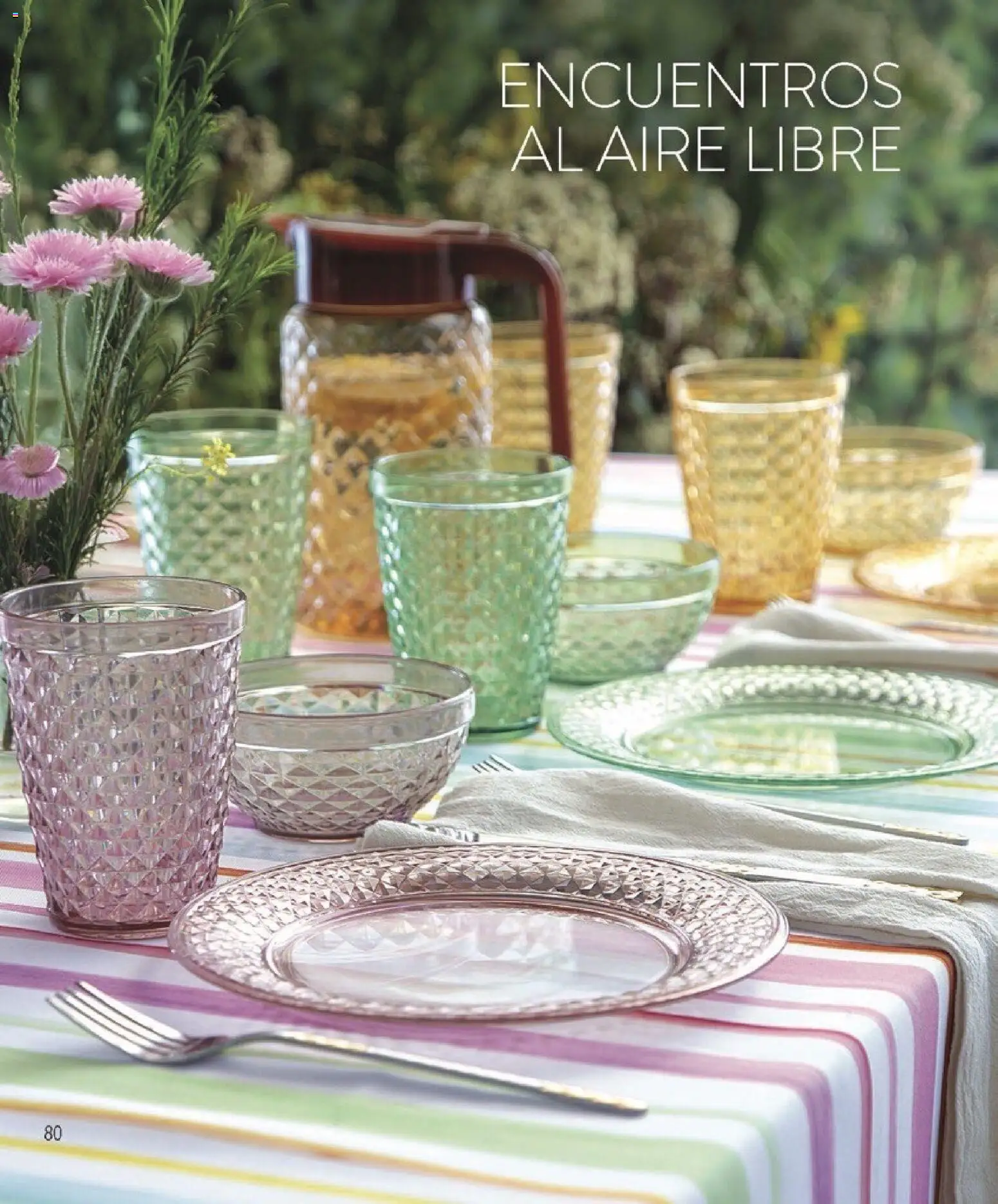 Violetta catálogo │ válido desde el 01.12.2025 | Página: 80