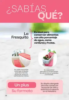 Vista previa Tupperware - Campaña 17/2025 válido desde el 13.10.2025 | Página: 39 | Productos: Rejilla