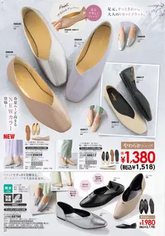 13.02.2026から有効なオファーを含む ヒラキ - チラシ | ページ: 38