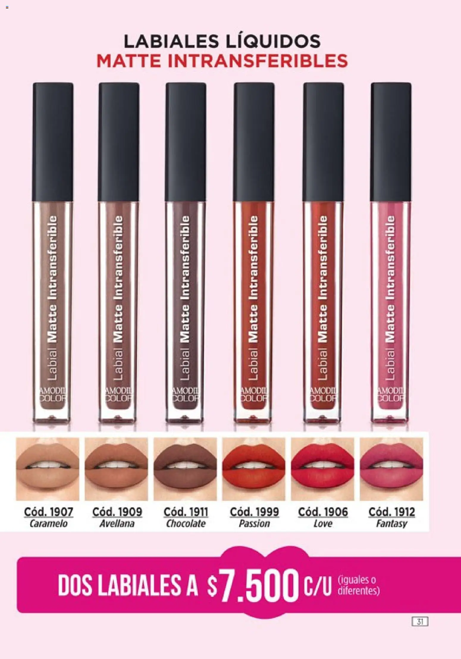 Catálogo Amodil Campaña 2 │ válido desde el 01.02.2026 | Página: 31 | Productos: Chocolate