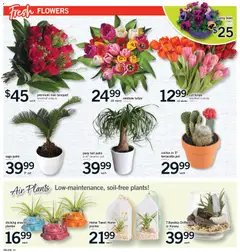 Preview of Fortinos weekly flyer - Brampton from shop Fortinos valid from 09.04.2026 | Page: 19