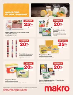 Makro - Catálogo -  Vista previa de la revista de la tienda Makro valido desde el 09.01.2026 | Página: 4