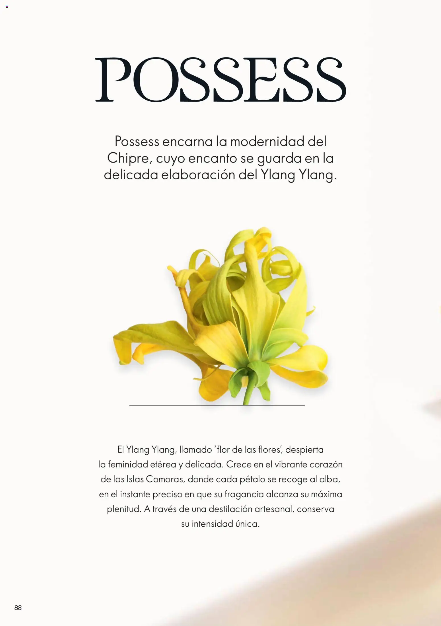 Oriflame revista - valida desde el 14.02.2026 | Página: 88 | Productos: Fragancia