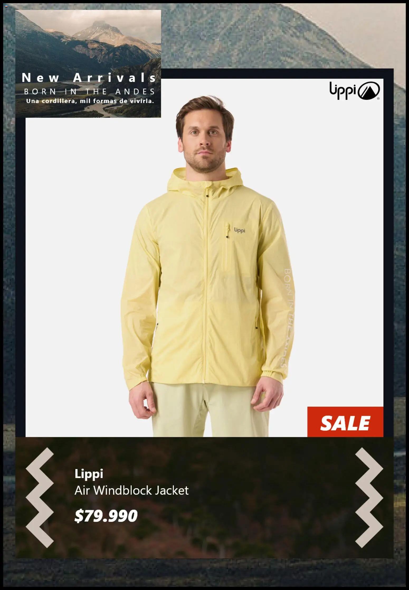 Lippi ofertas  │ válido desde el 12.11.2025 | Página: 3