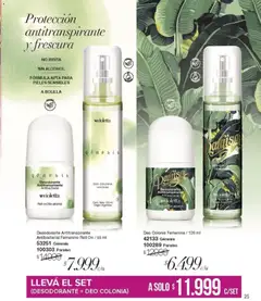 Vista previa Violetta catálogo válido desde el 01.12.2025 | Página: 25 | Productos: Desodorante, Antitranspirante
