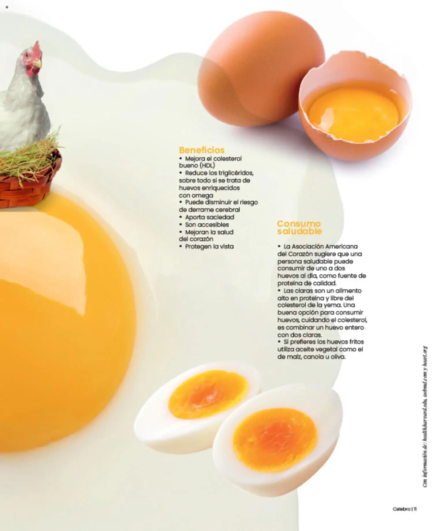 Nuevas ofertas de H-E-B válidas en toda la República Mexicana desde el 01.02.2026. ¡Encuentra las mejores ofertas en H-E-B folleto Celebra! | Página: 11 | Productos: Huevo, Huevos, Aceite, Sobre