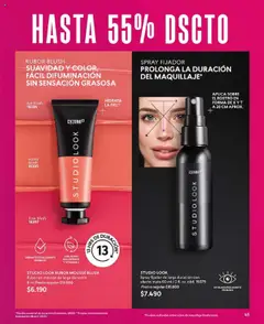 Catálogo CyZone Campaña 14 │ válido desde el 01.09.2025 | Página: 45 | Productos: Fijador, Mousse, Sobre, Rubor