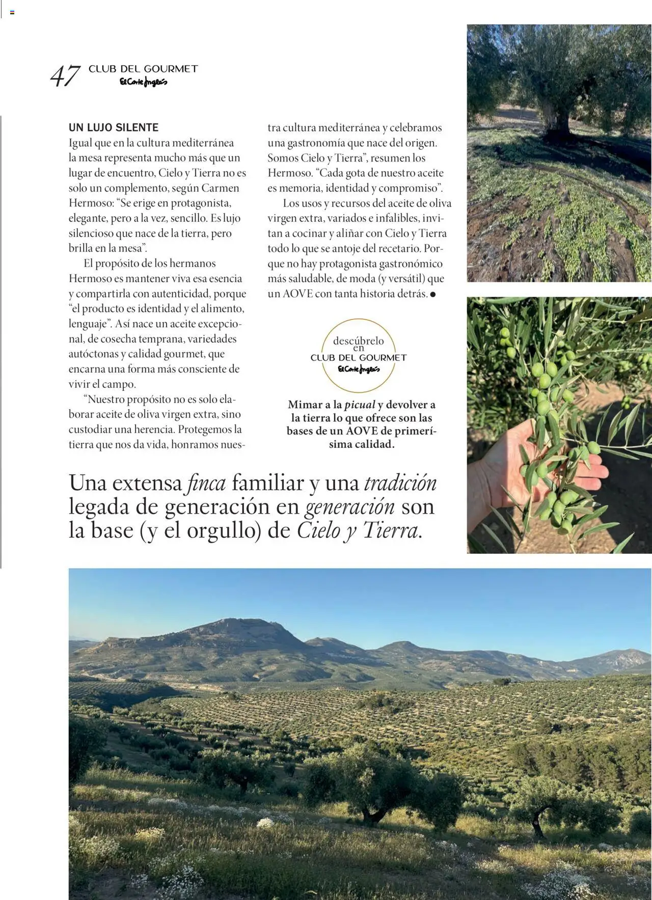 Nuevas ofertas de El Corte Inglés válidas en toda la República Mexicana desde el 29.09.2025. ¡Encuentra las mejores ofertas en El Corte Inglés - Catálogo Gourmet Magazine Otoño! | Página: 47 | Productos: Aceite de oliva, Aceite, Mesa