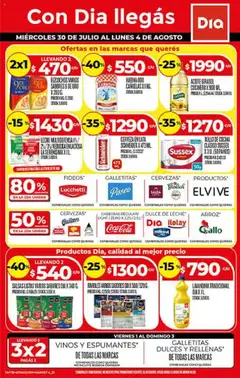 Vista previa Supermercado DIA Ofertas válido desde el 30.07.2025