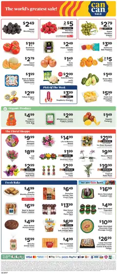 Preview of ShopRite weekly ads valid from 16.01.2026 | Page: 13