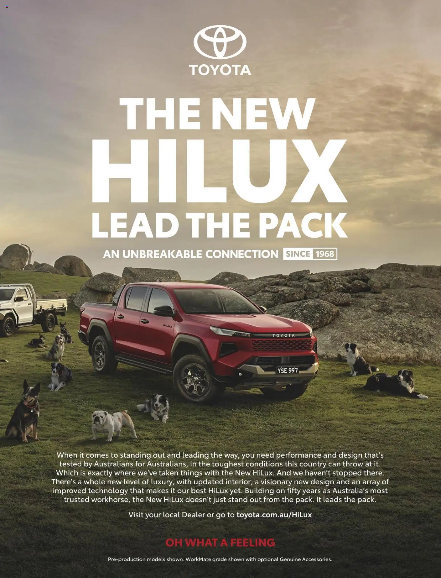 Bunnings Warehouse catalogue - valid from 01.02.2026 | Page: 3