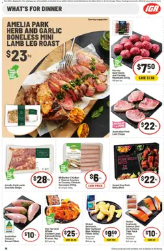 Preview of IGA Catalogue WA - valid from 07.01.2026 | Page: 13