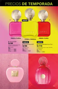 Vista previa de folleto Leonisa - Aliados Leonisa de la Leonisa válido desde 23.10.2025 | Página: 5