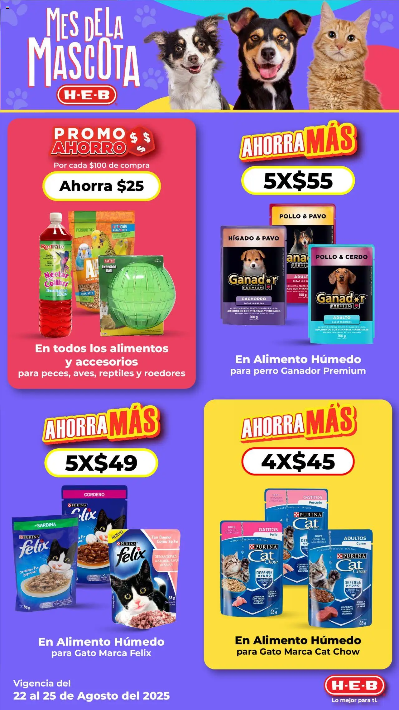 Nuevas ofertas de H-E-B válidas en toda la República Mexicana desde el 22.08.2025. ¡Encuentra las mejores ofertas en H-E-B folleto! | Página: 17 | Productos: Pollo, Cerdo, Vitaminas