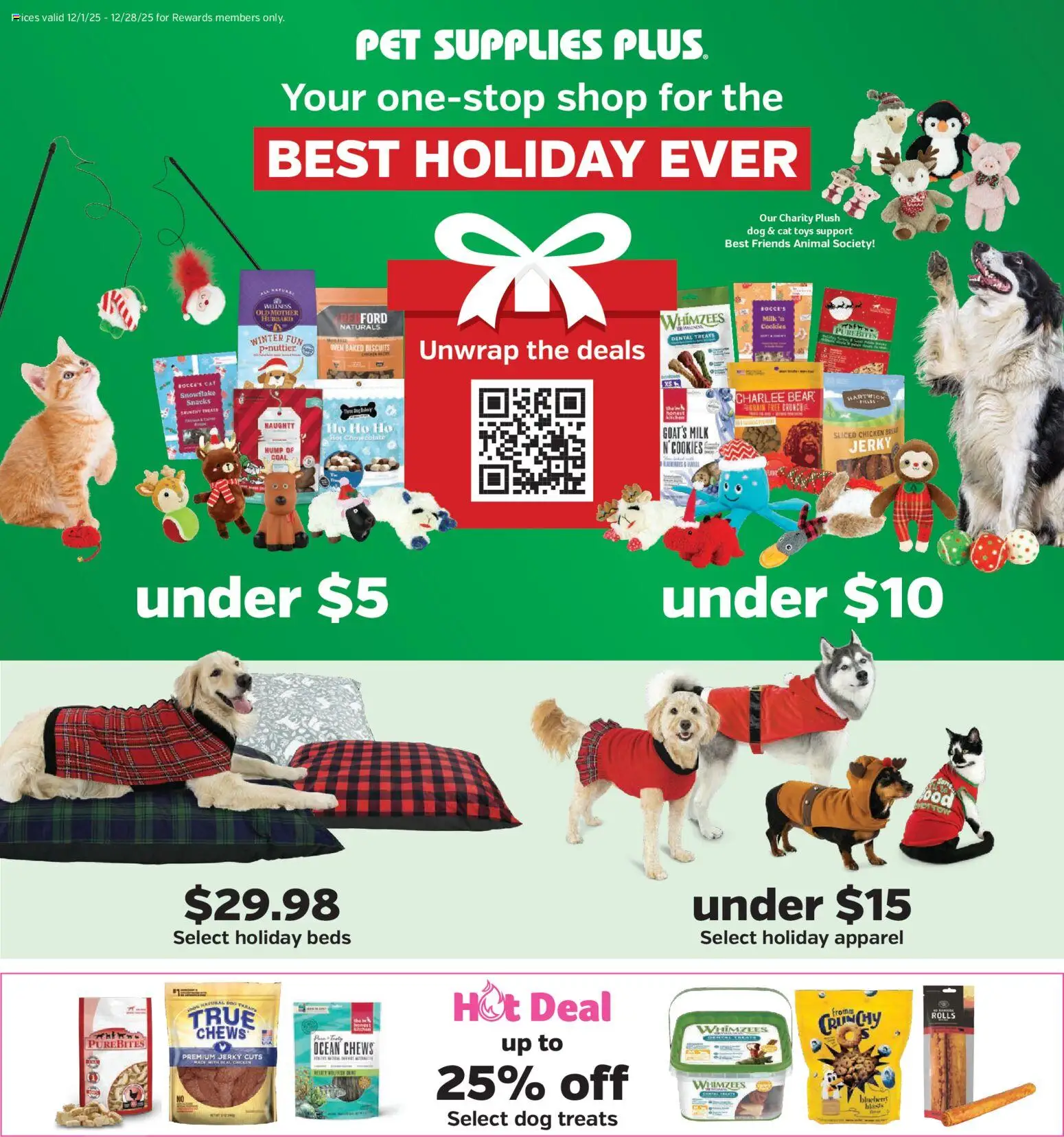 Pet Supplies Plus Weekly Ad - valid from 12.12.2025 | Page: 1 | Products: Dog Treats, Milk, Cookies, Oven