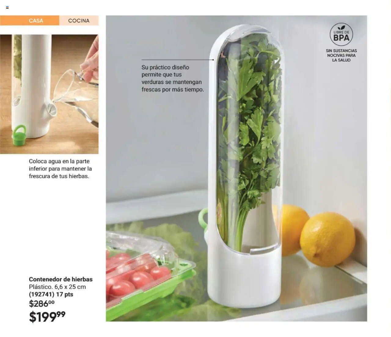 Nuevas ofertas de AVON válidas en toda la República Mexicana desde el 09.10.2025. ¡Encuentra las mejores ofertas en AVON - Casa & Estilo 16 2025! | Página: 80 | Productos: Agua, Cocina, Contenedor