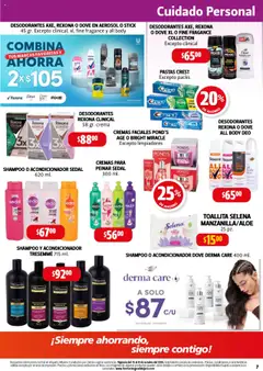 Vista previa de Farmacia Guadalajara - Catálogo, nuevo folleto de la tienda, válido en México a partir del 15.10.2025 | Página: 7 | Productos: Crema, Brillo, Body, Acondicionador
