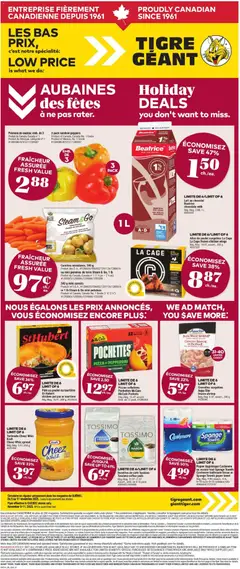 Preview of Giant Tiger Weekly Flyer from shop Giant Tiger valid from 05.11.2025
