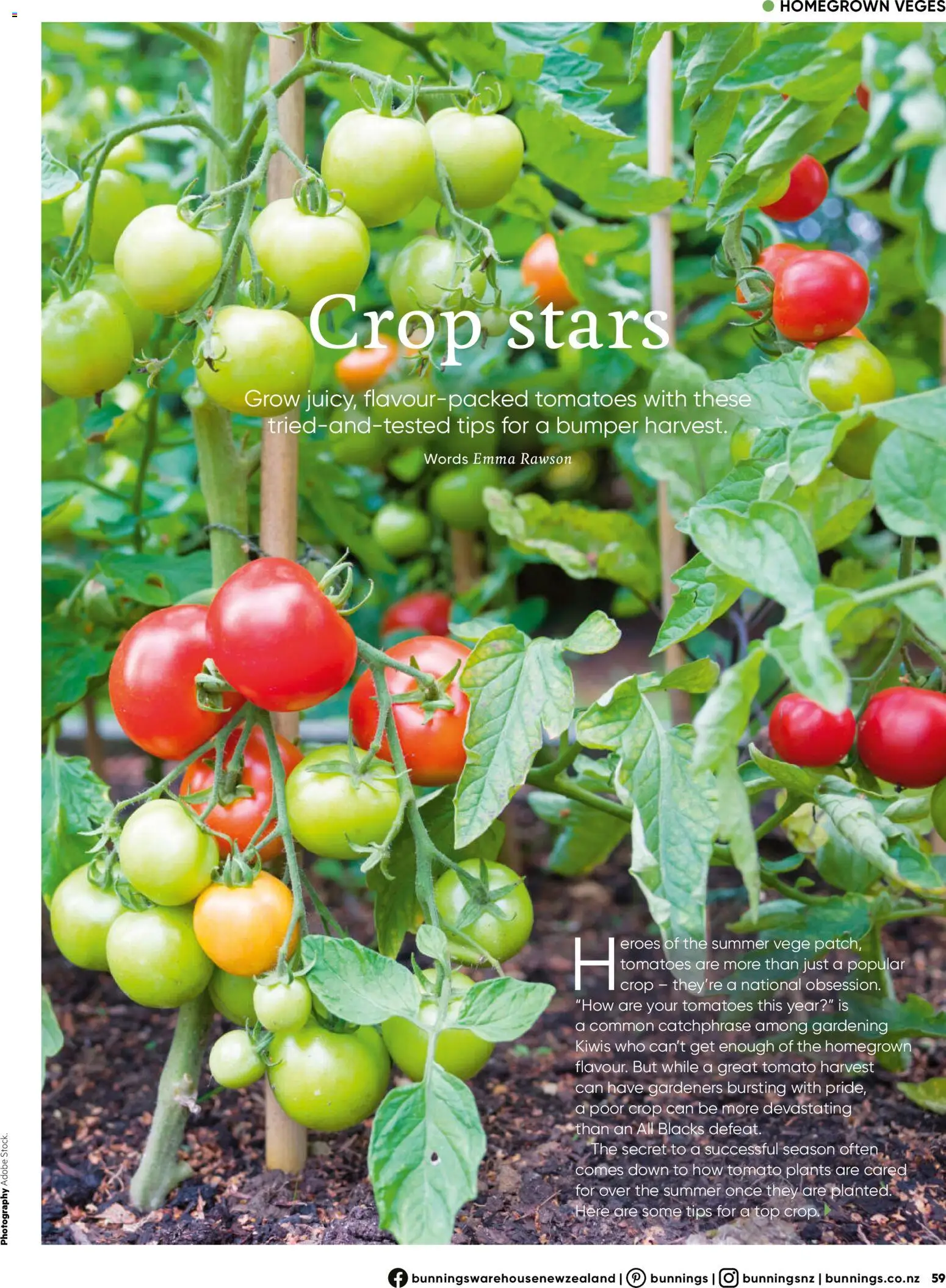 Bunnings Warehouse catalogue from 01.12.2025 | Page: 59