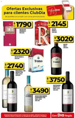 Vista previa Supermercado DIA Ofertas válido desde el 15.10.2025 | Página: 51 | Productos: Vino