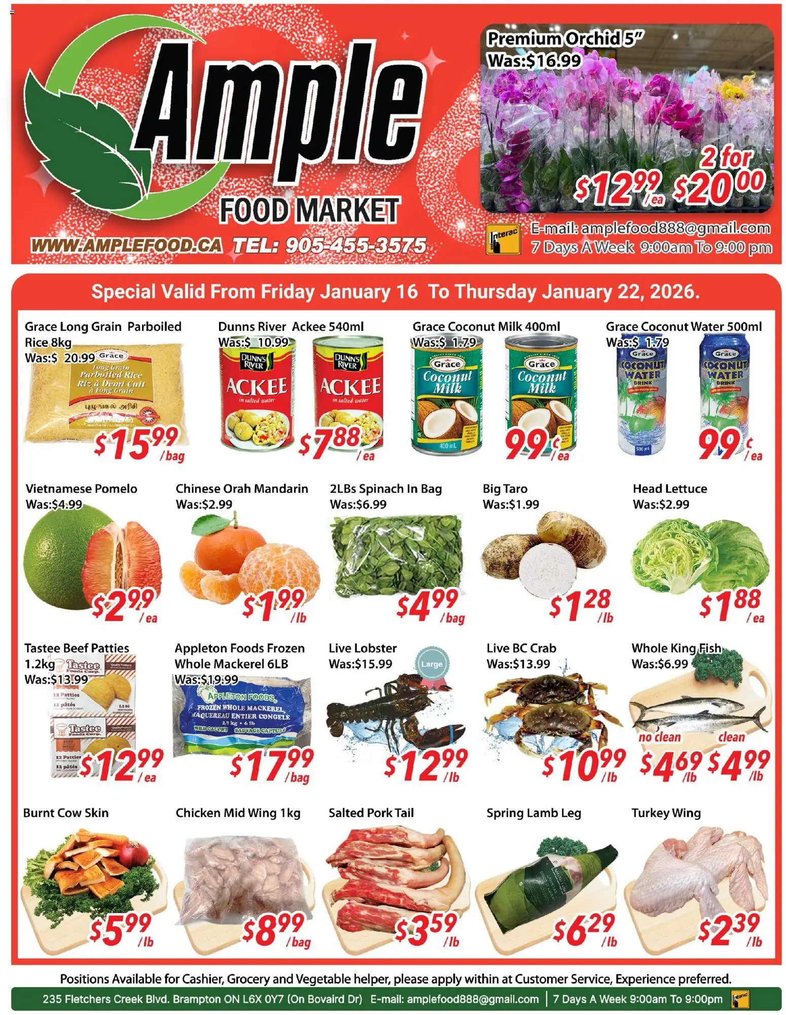 Ample Food Market flyer valid from 16.01.2026 | Page: 1