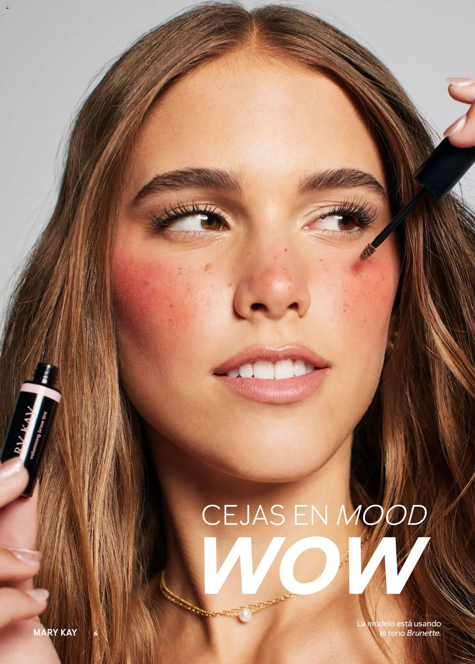 Nuevas ofertas de Mary Kay válidas en toda la República Mexicana desde el 01.04.2026. ¡Encuentra las mejores ofertas en Catálogo Mary Kay Abril 2026! | Página: 6