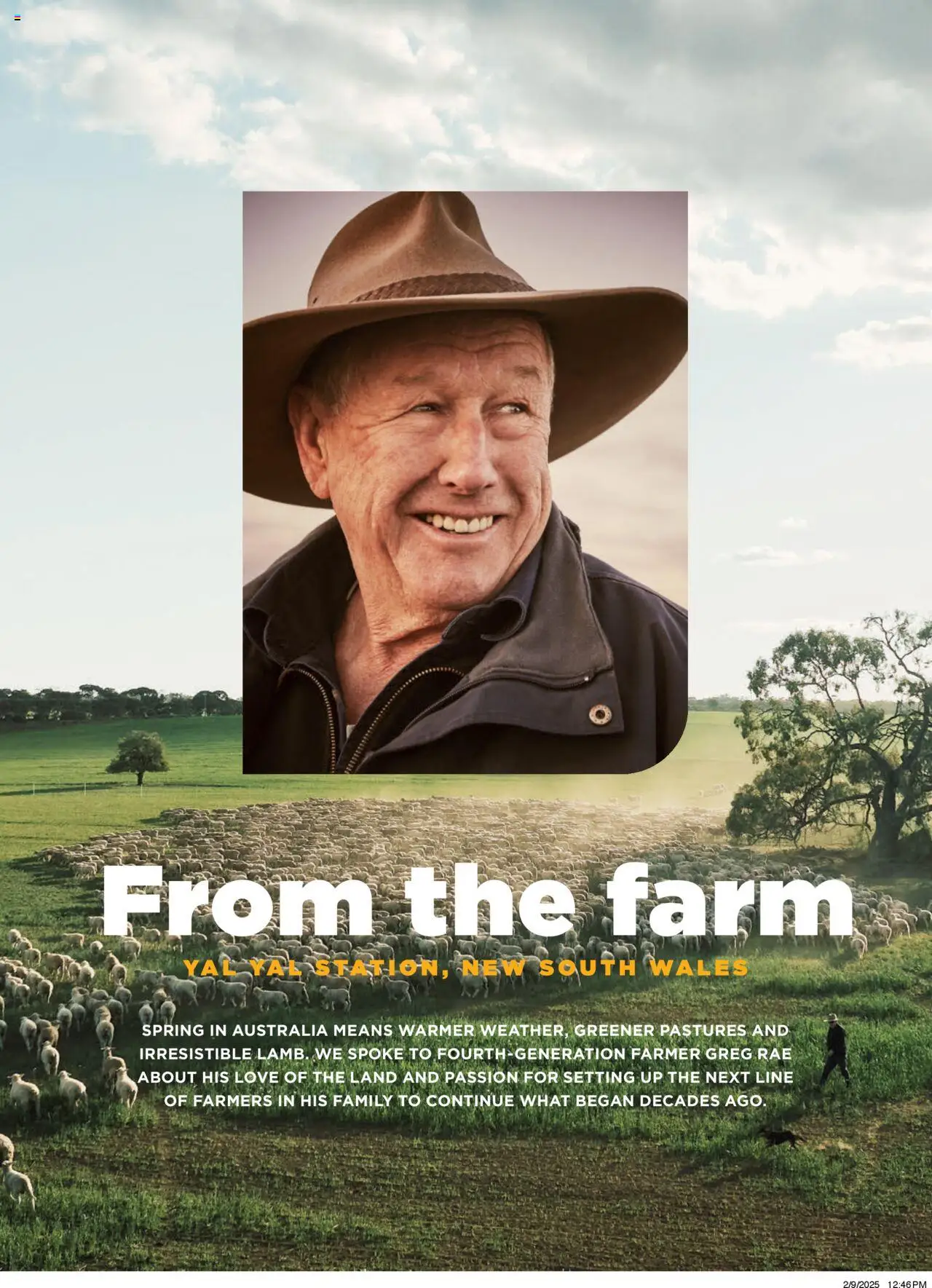 Coles catalogue - valid from 06.10.2025 | Page: 114
