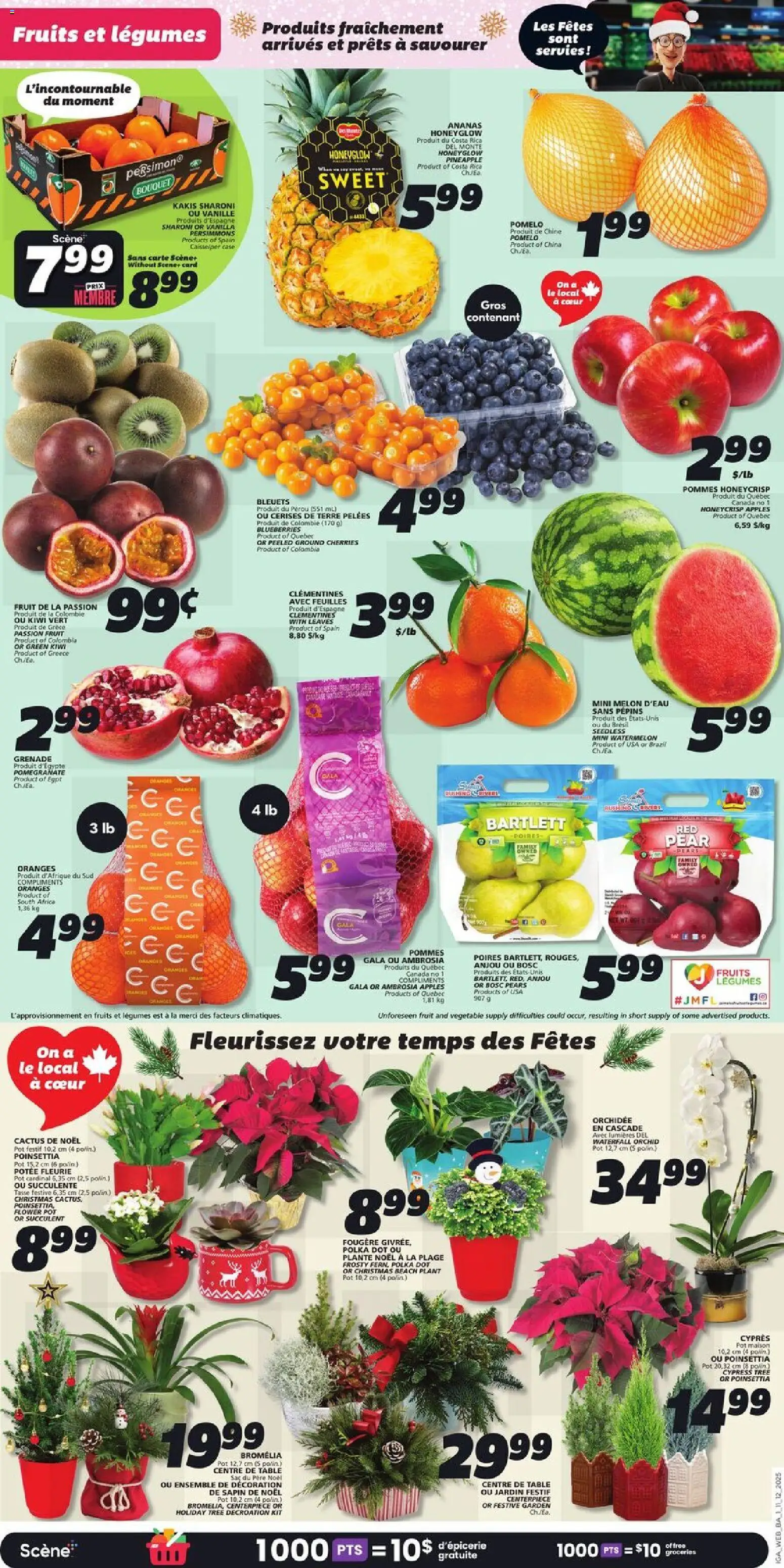 IGA flyer valid from 11.12.2025 | Page: 5 | Products: Pineapple, Table, Apples, Oranges