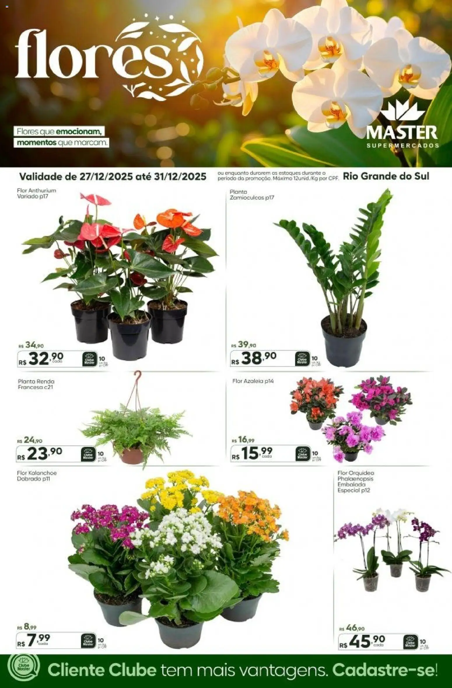 Master Folheto - válido de 27.12.2025 | Página: 1 | Produtos: Flores