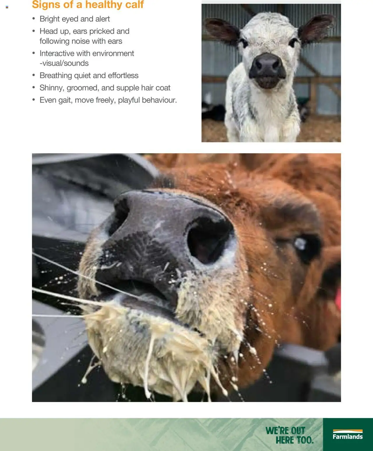 Farmlands catalogue from 14.05.2025 | Page: 21