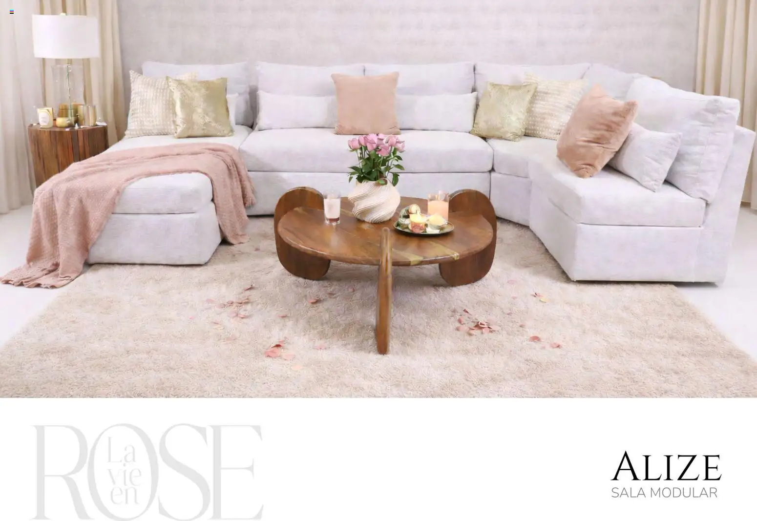 Nuevas ofertas de Muebles Dico válidas en toda la República Mexicana desde el 06.02.2026. ¡Encuentra las mejores ofertas en Muebles Dico catálogo La Vie en Rose 2026 ! | Página: 9