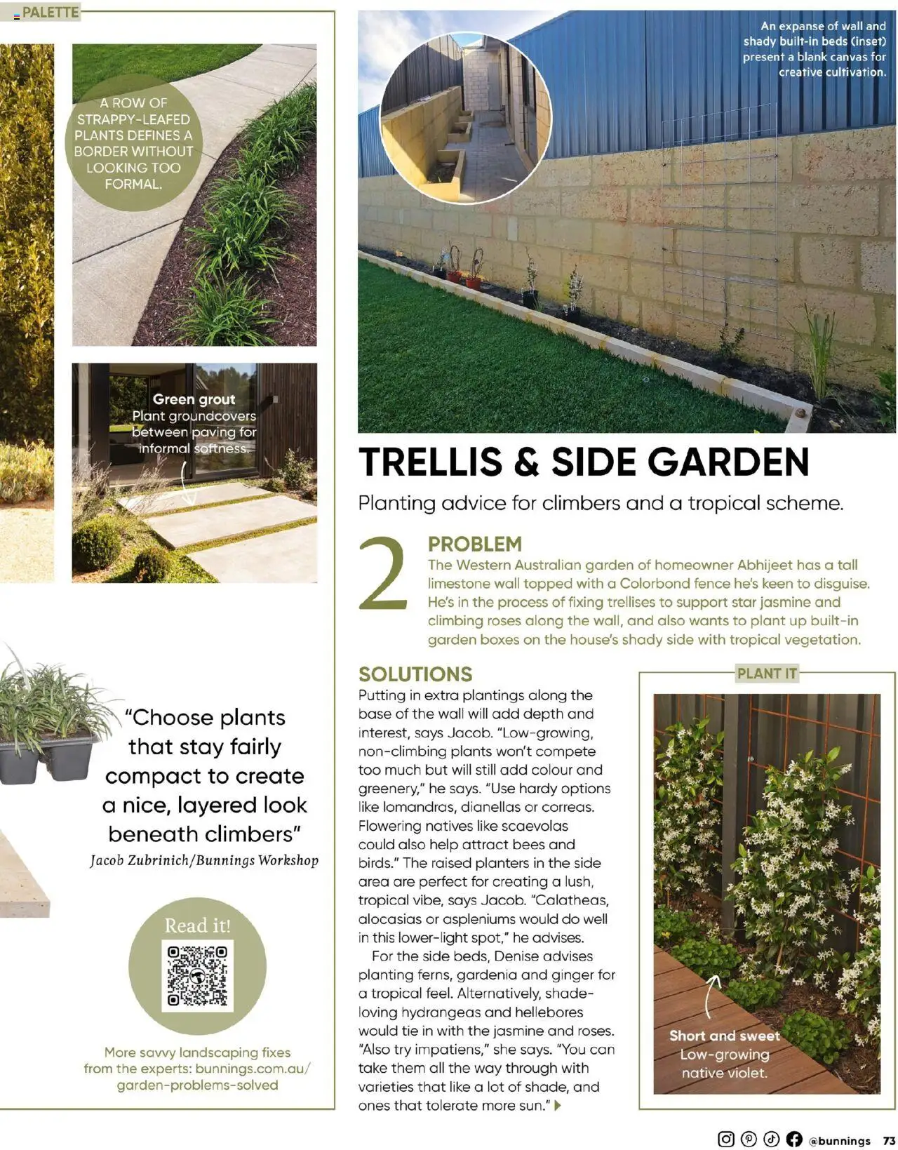 Bunnings Warehouse catalogue - valid from 01.10.2025 | Page: 73 | Products: Fence, Native, Plant, Ginger