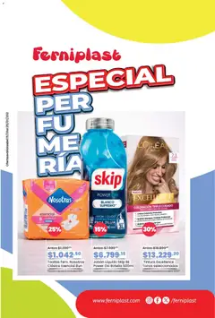 Vista previa Ferniplast catálogo válido desde el 15.01.2026