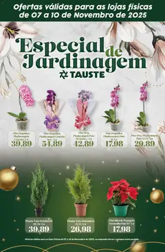 Tauste - Ofertas Especial Festival de Flores - Pré-Visualização do folheto da loja Tauste, válido de 07.11.2025