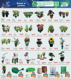 Supermercados Condor Black Friday - Pré-Visualização do folheto da loja Supermercados Condor, válido de 03.11.2025 | Página: 27 | Produtos: Pimenta, Mangueira, Vaso