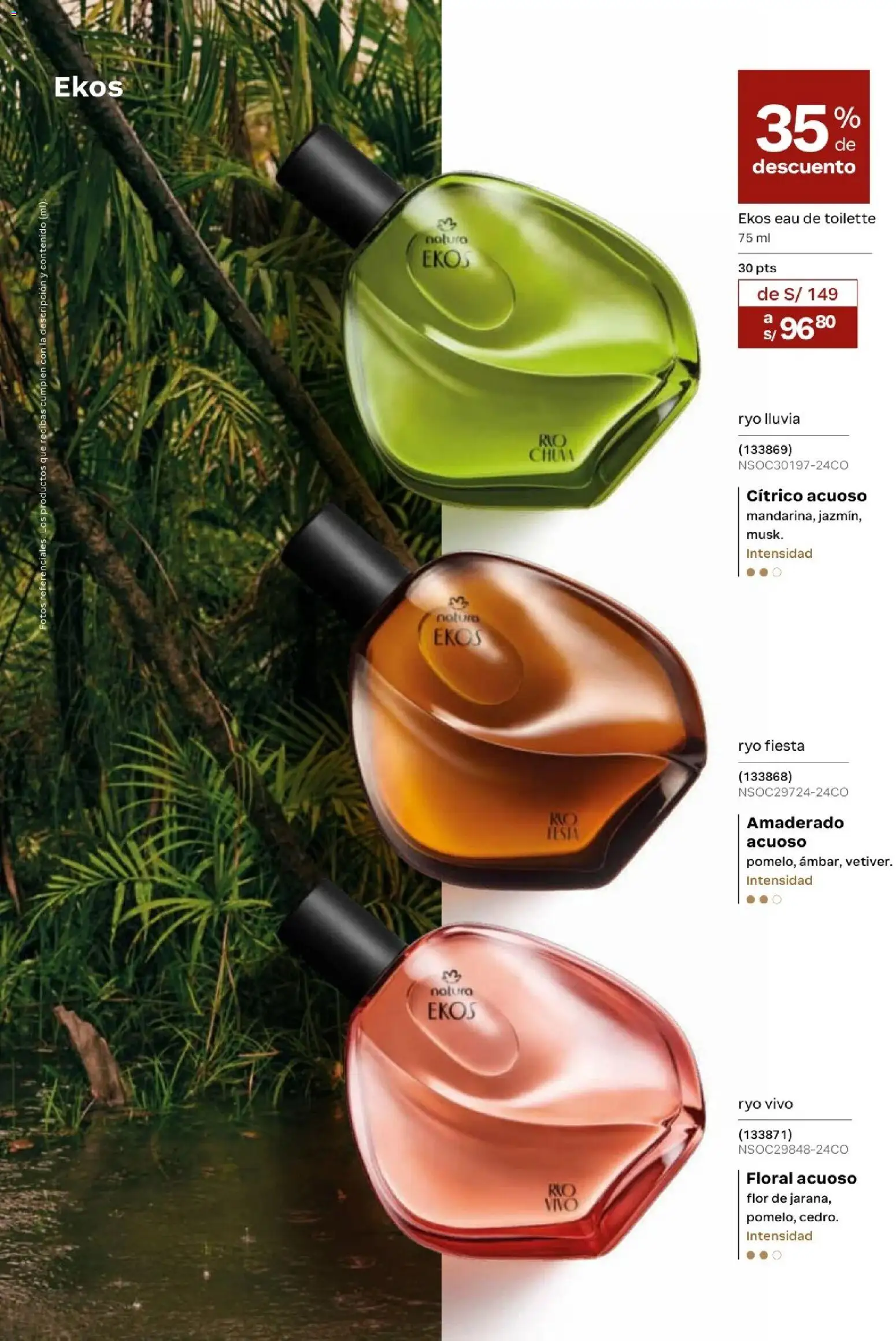 Catálogo Natura válido desde 20.02.2026 | Página: 31 | Productos: EAU de Toilette