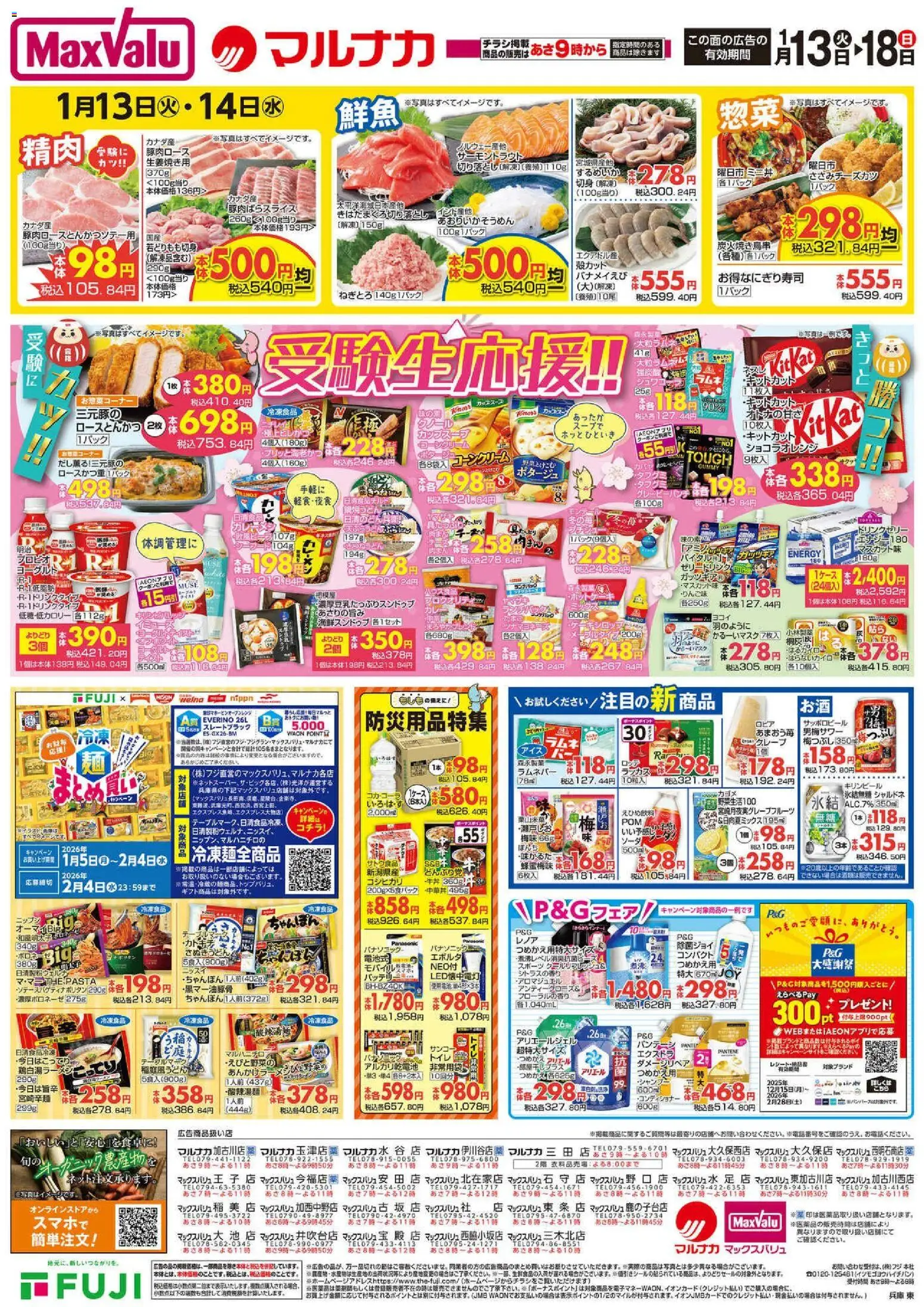 {H1} | ページ: 2 | 製品: アルカリ乾電池, するめいか