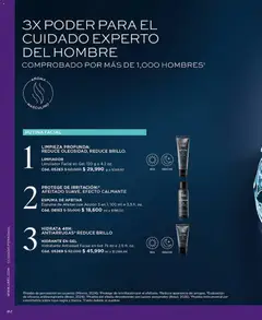 L'Bel catálogo C05/2026 -  Vista previa de la revista de la tienda L'Bel valido desde el 13.03.2026 | Página: 82 | Productos: Brillo, Limpiador facial, Desodorante, Antitranspirante