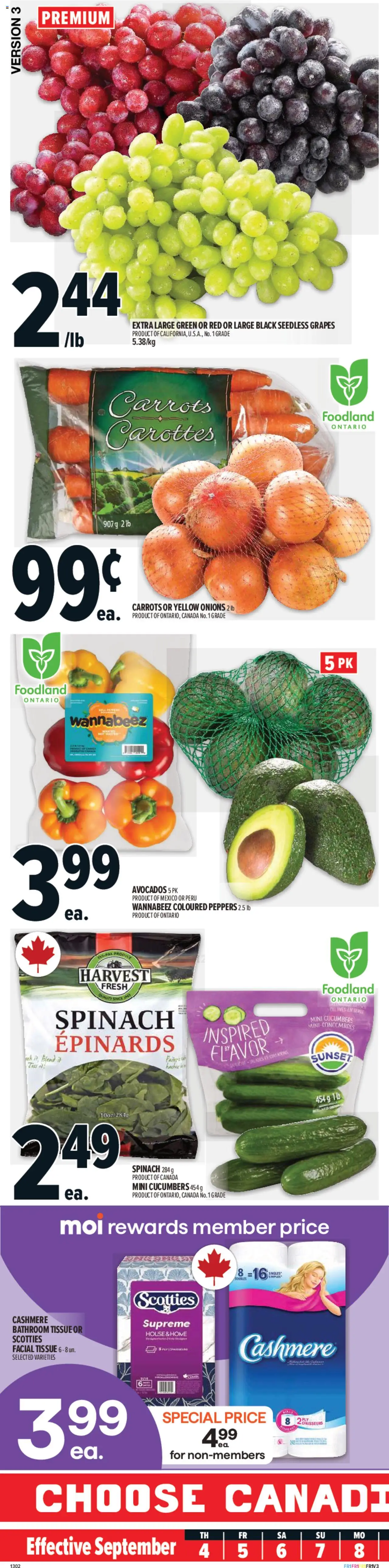 Metro flyer valid from 04.09.2025 | Page: 1 | Products: Cucumbers