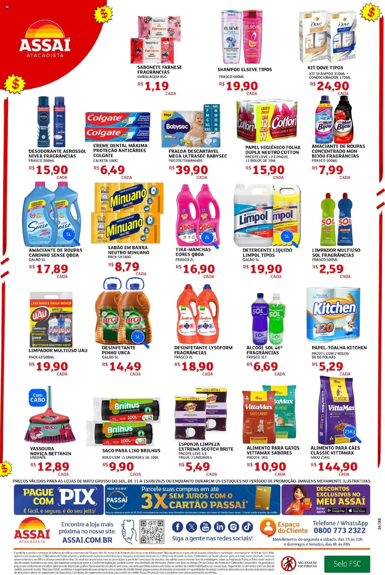 Assaí Atacadista Folheto - válido de 11.08.2025 | Página: 4 | Produtos: Limpador multiuso, Carne, Pá, Vassoura