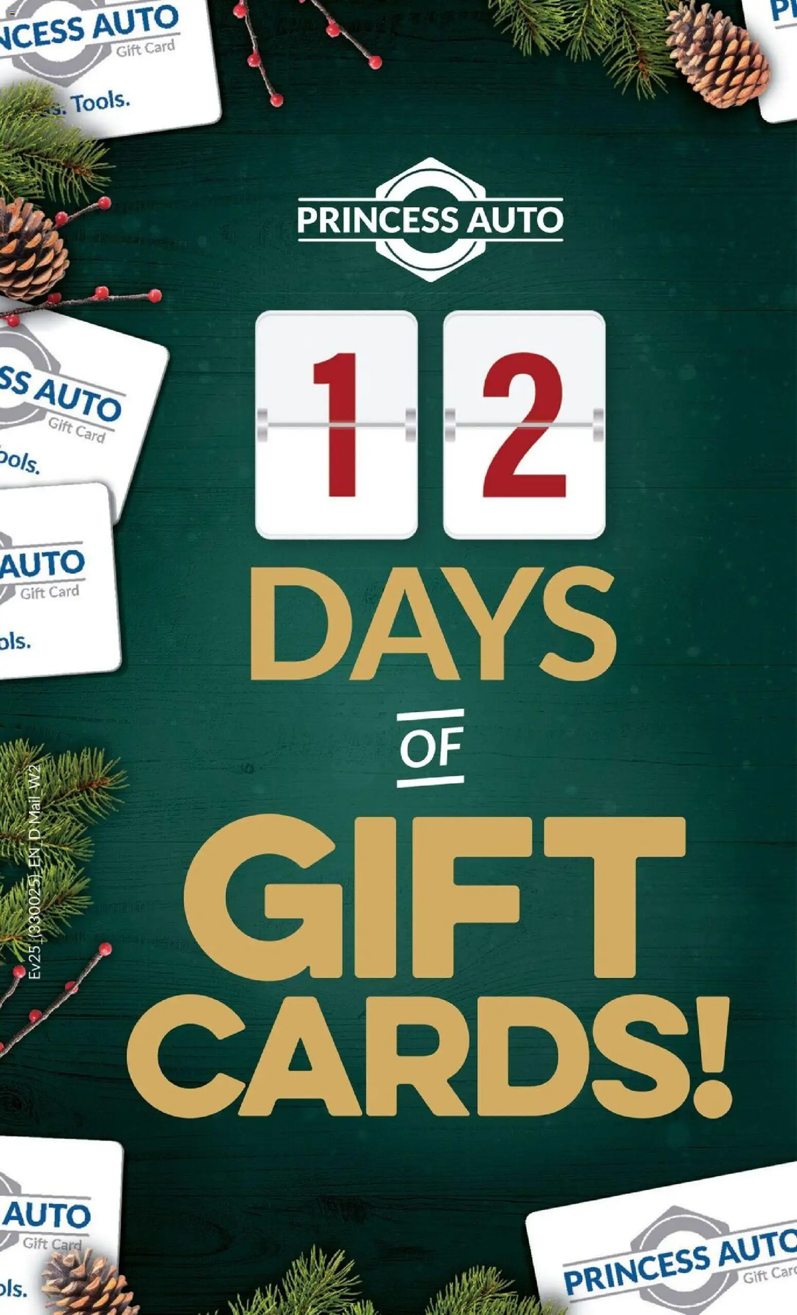 Princess Auto flyer valid from 02.12.2025 | Page: 4