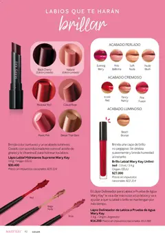 Vista previa Mary Kay catálogo válido desde el 01.03.2026 | Página: 42