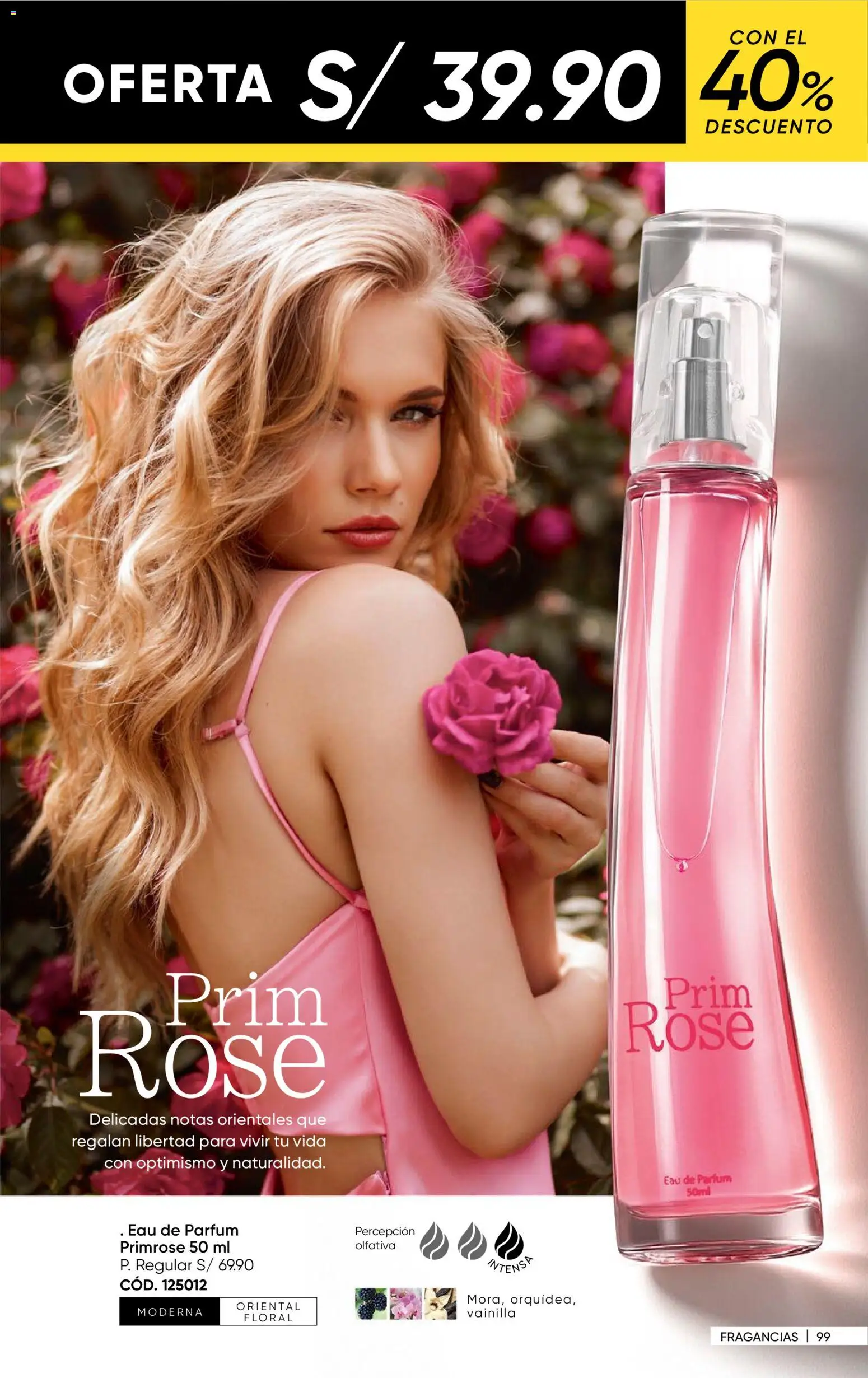 Catálogo Azzorti válido desde 24.11.2025 | Página: 101