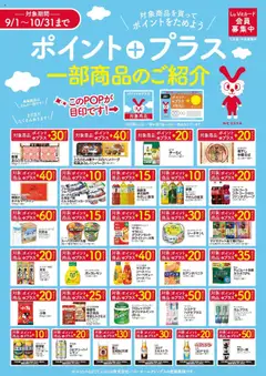 01.09.2025から有効なオファーを含む バロー - チラシ