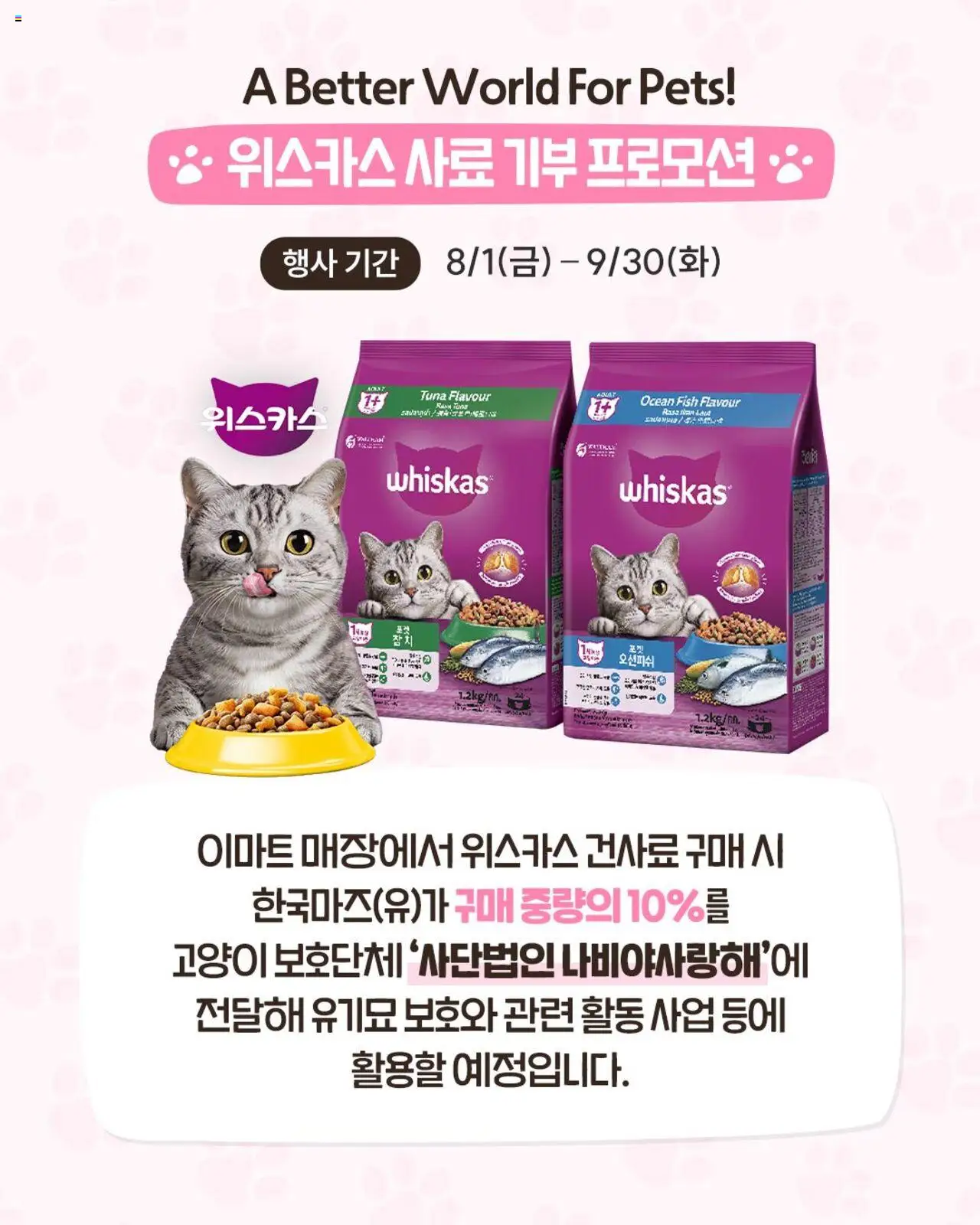  | 페이지: 6