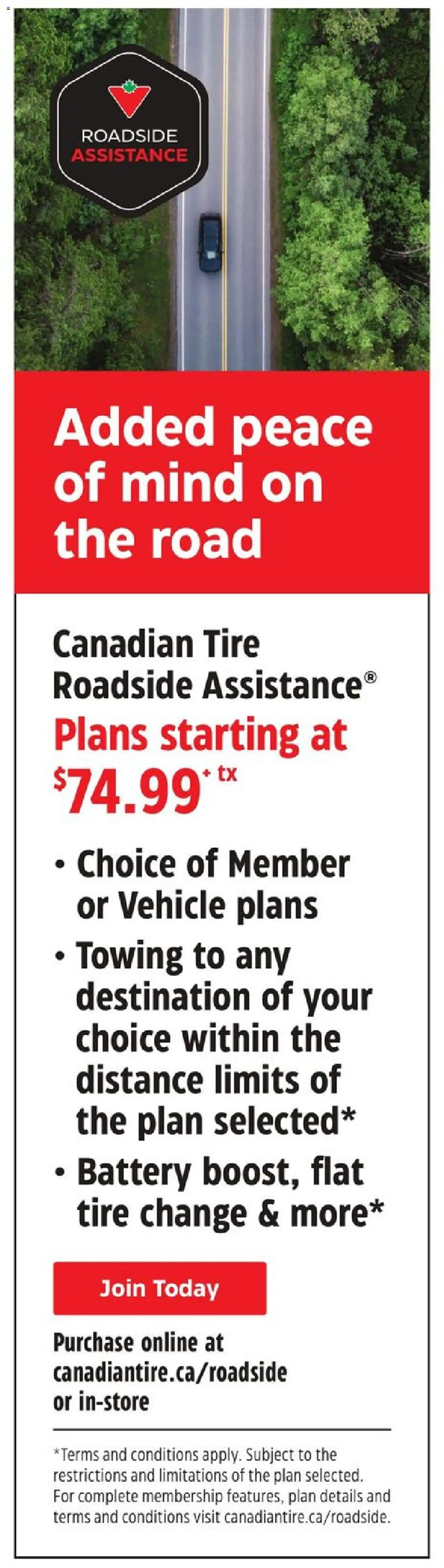 Canadian Tire flyer valid from 14.08.2025 | Page: 39 | Products: Battery