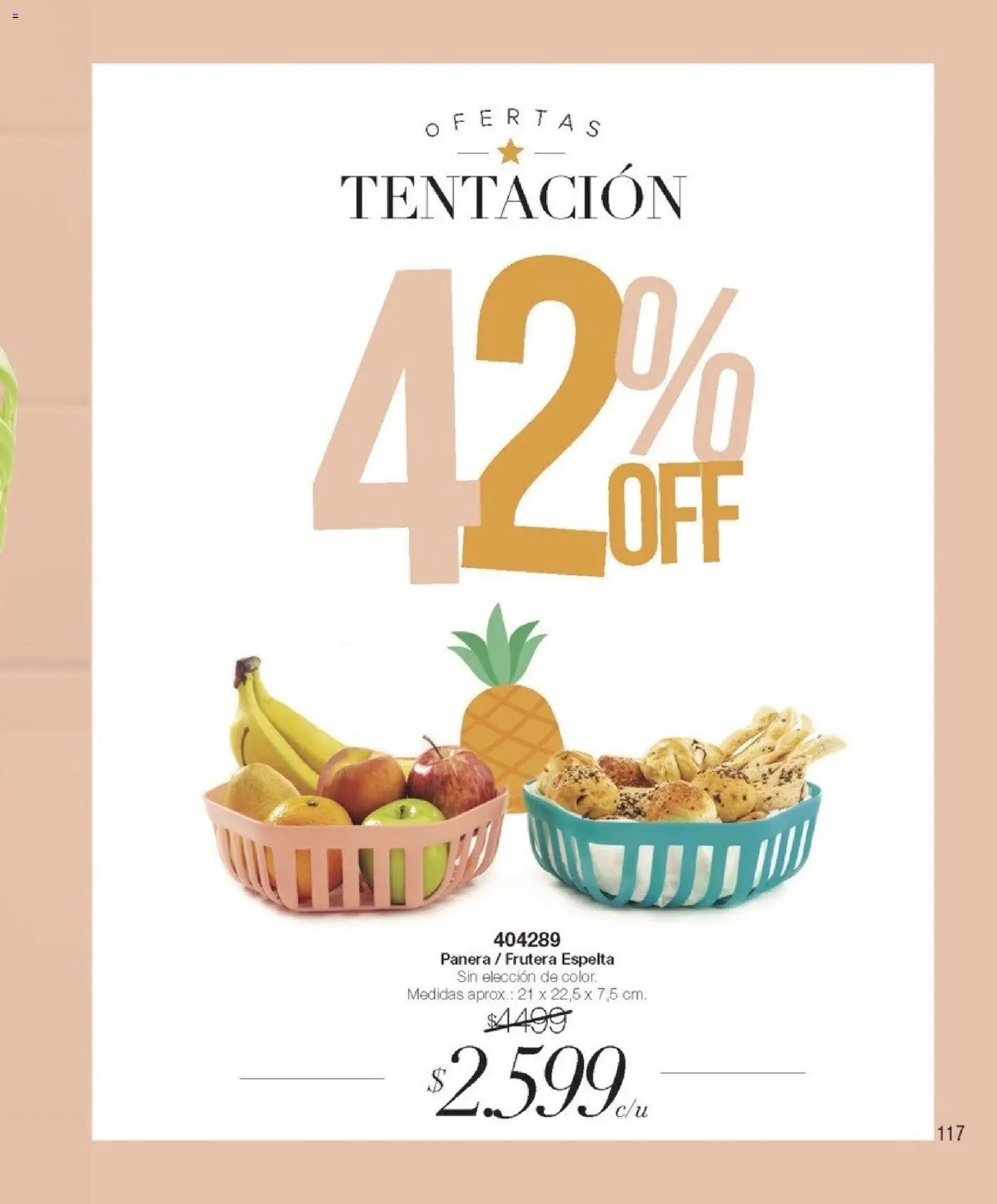 Violetta catálogo │ válido desde el 01.02.2026 | Página: 117 | Productos: Panera, Frutera