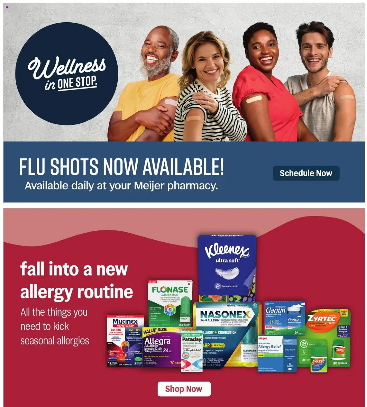 Meijer Weekly Ad - MI - valid from 17.09.2025 | Page: 42