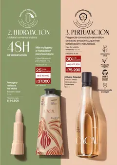 Natura - Catálogo Natura C02/2026 -  Vista previa de la revista de la tienda Natura valido desde el 01.02.2026 | Página: 113