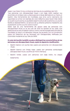 Colsubsidio - Catálogo -  Vista previa de la revista de la tienda Colsubsidio valido desde el 01.10.2025 | Página: 38 | Productos: Sobre